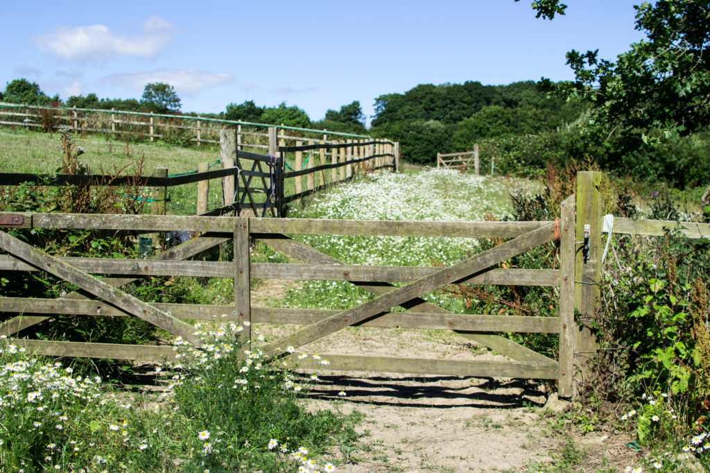 Devon July 2016-29