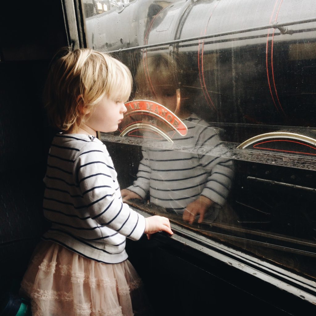 Dartmouth Steam Railway