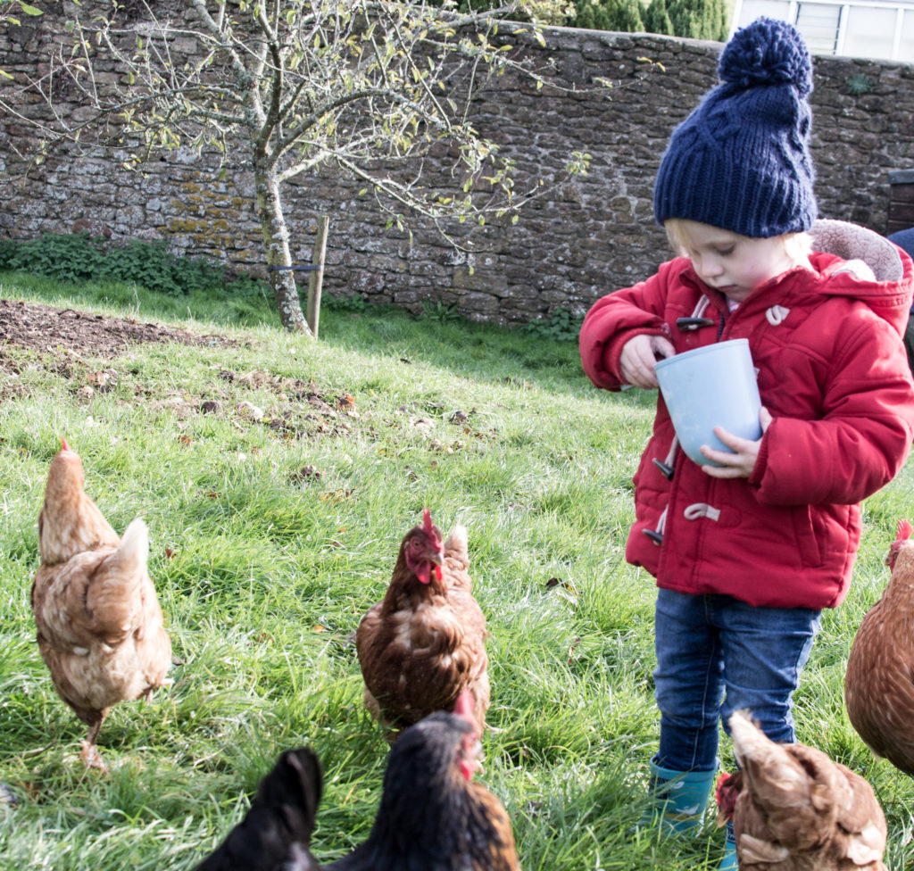 Lower Elsford Farm