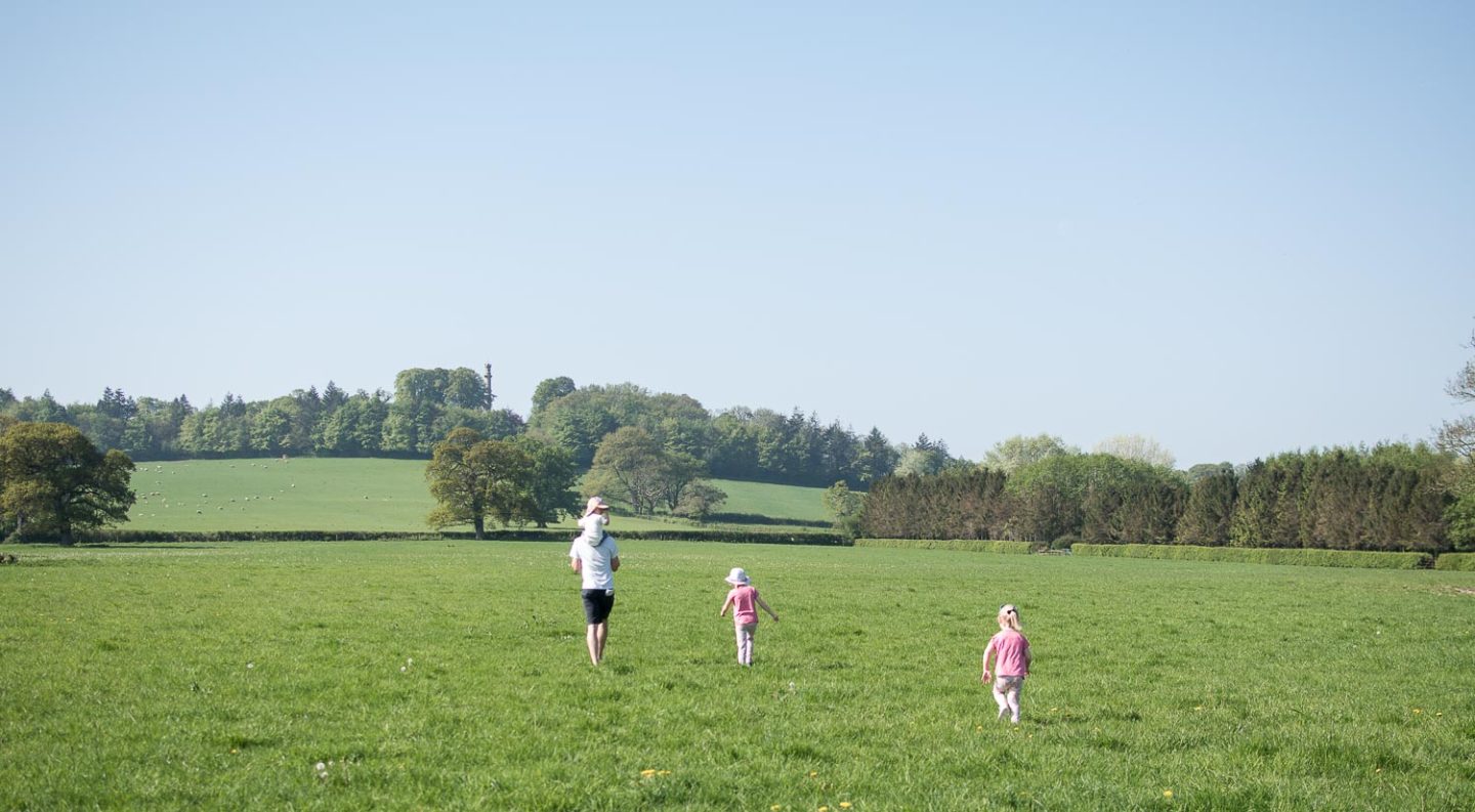 A walk in the countryside of Butleigh Wootton