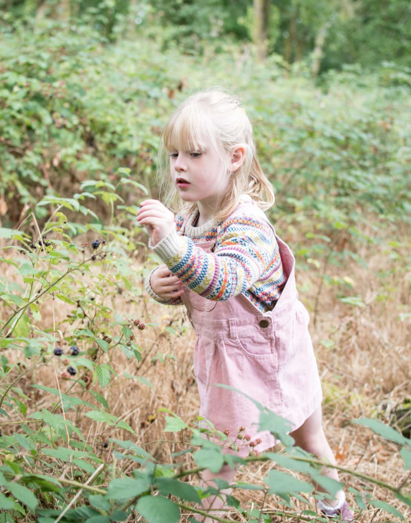 Daisy picking blackberries and wearing The Faraway Gang Explorer Jumper