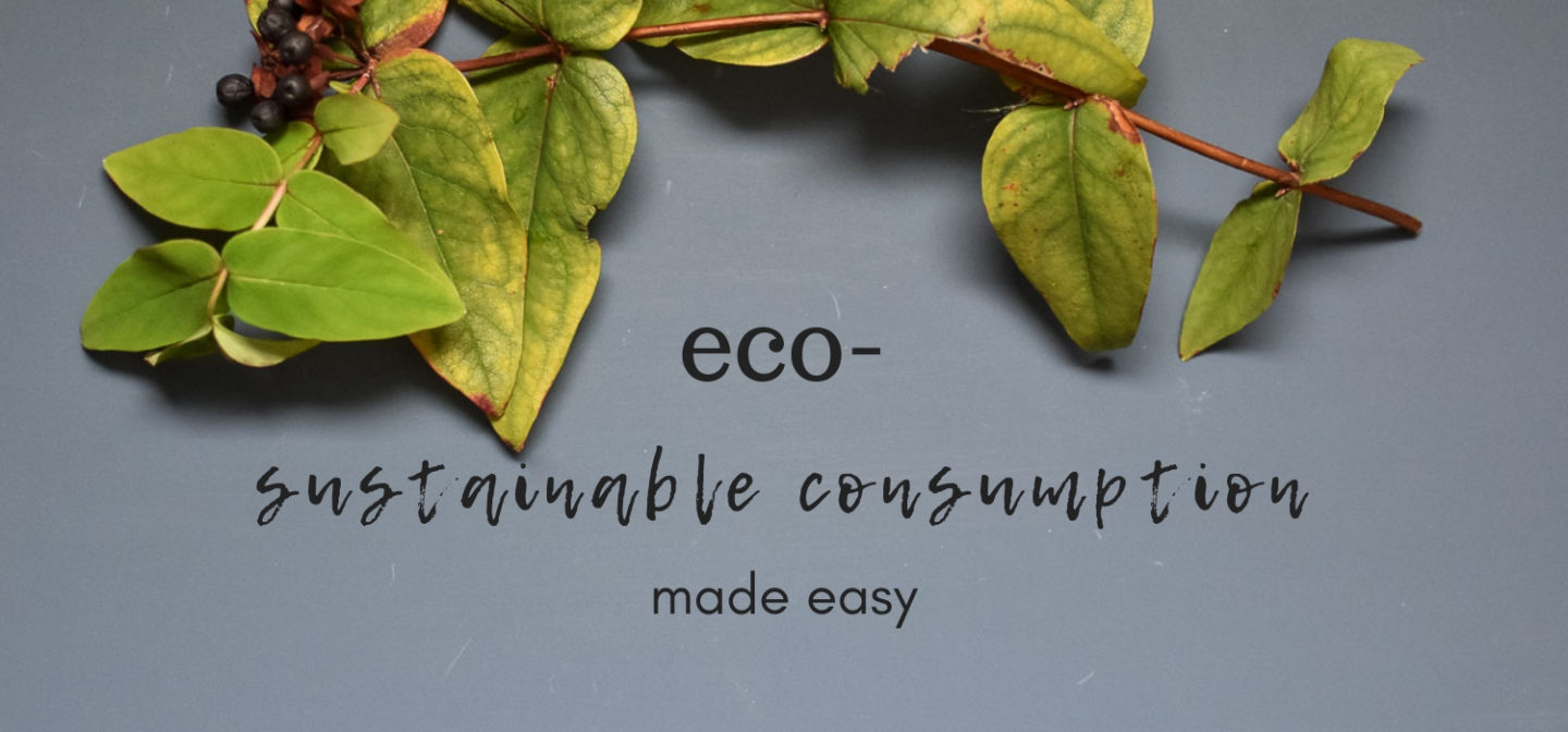 eco- sustainable consumption made easy