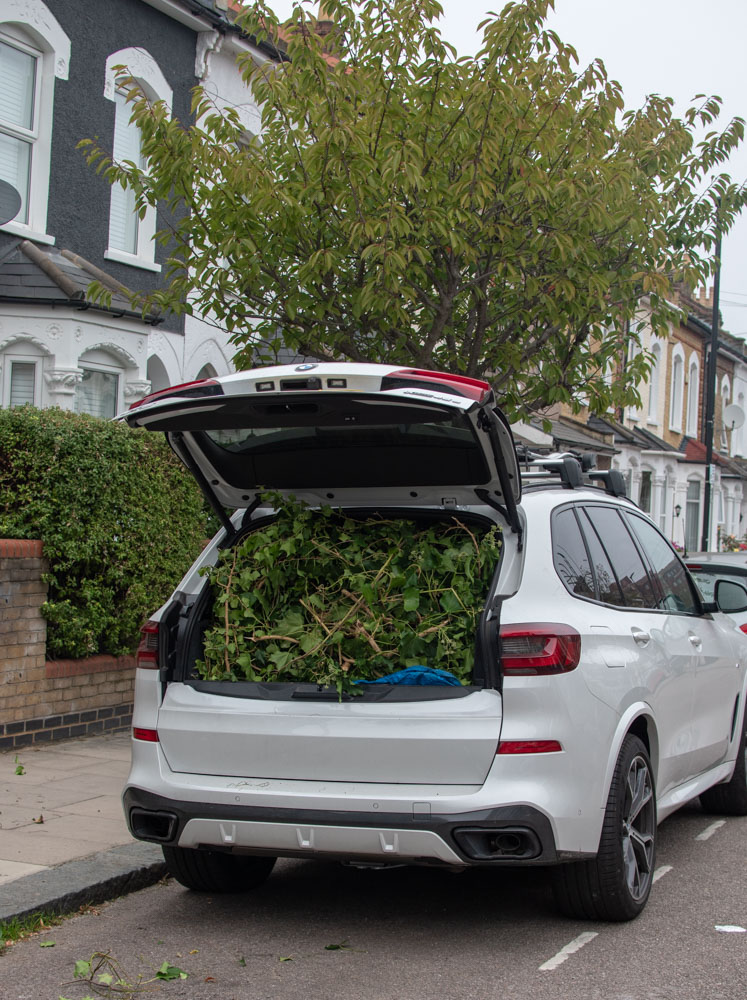 The car boot filled with garden waste. 