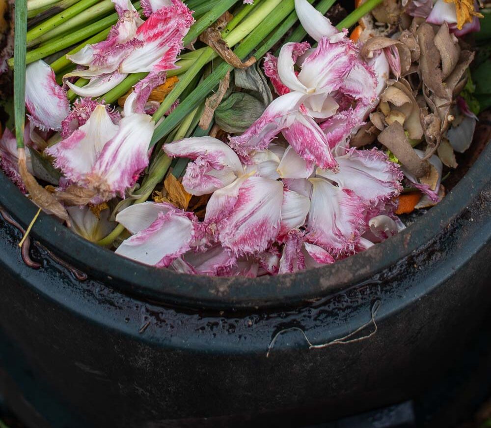 The inside of a compost heap, composting is an easy way to make your home more sustainable
